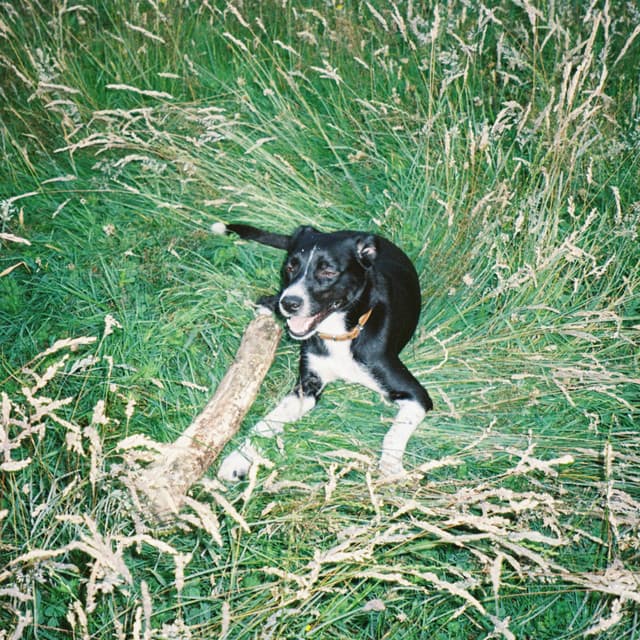 Lost