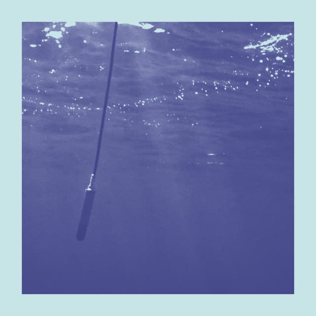 La Baleine et Le Musicien - Edit