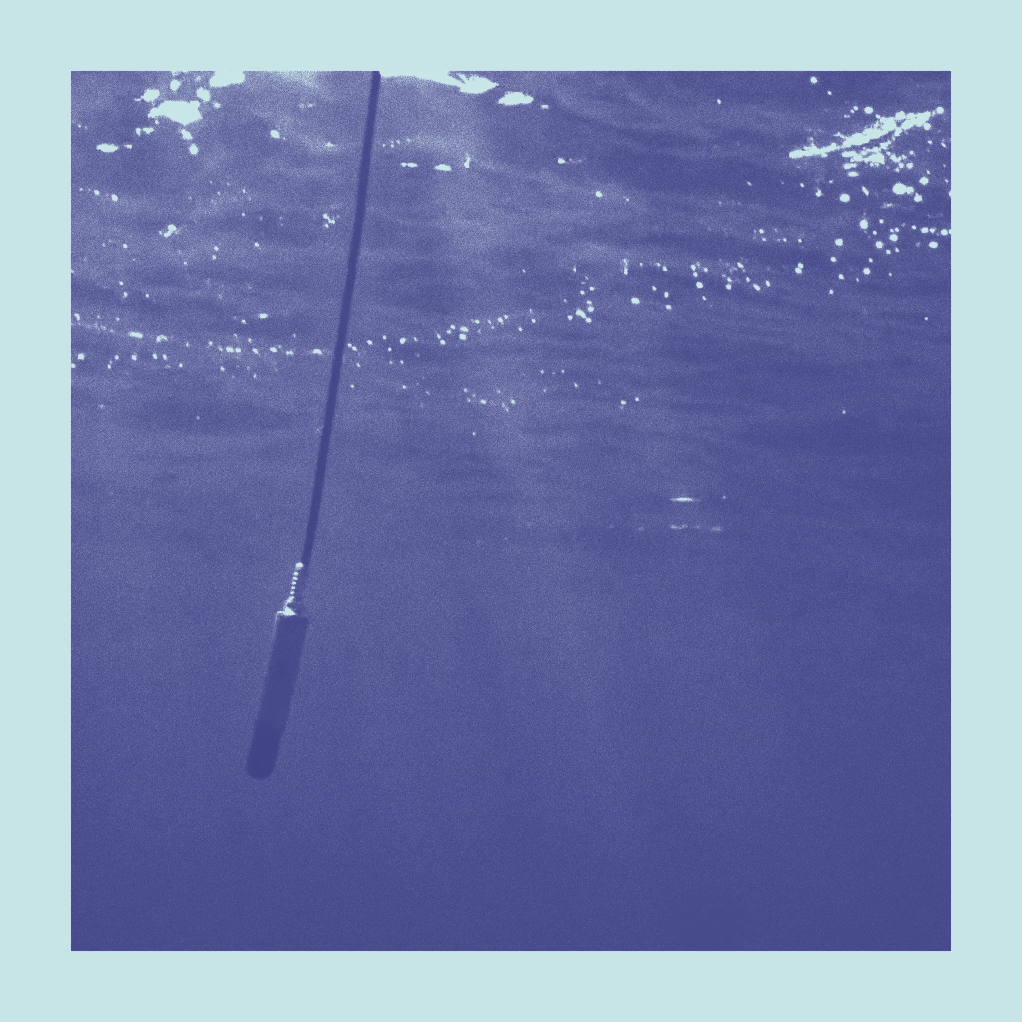 La Baleine et le Musicien (Edit)