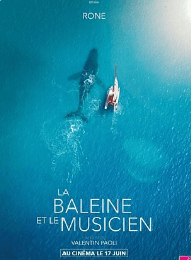 La baleine et le musicien