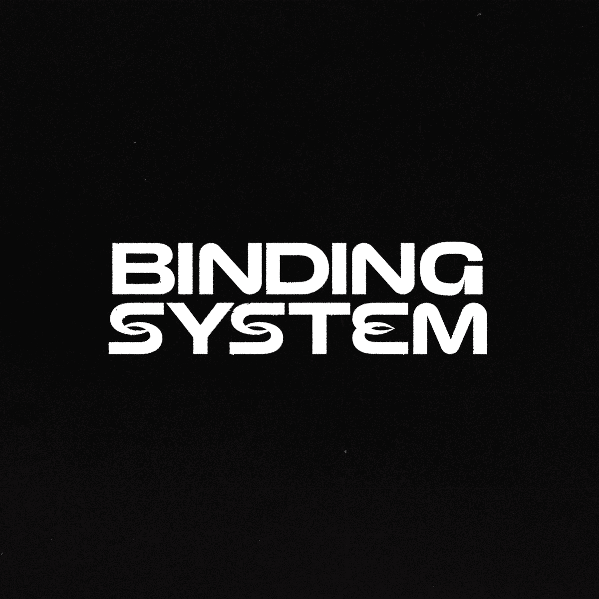 Binding System