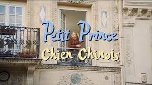Chien Chinois